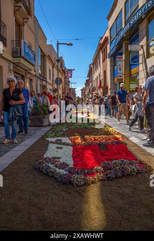 Menschen und ein älteres Paar spazieren an einem sonnigen Tag entlang einer Straße mit einem Teppich aus Blumen während der Fronleichnam-Feierlichkeiten in der Garriga von CA Stockfoto