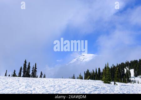 Der Berg Rainier blickt durch die Wolken. Bundesstaat Washington. Stockfoto