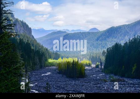 Nisqually River im Frühjahr, Mt. Rainier National Park. Washington. Stockfoto