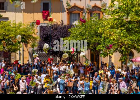Colorful flowers hanging vertically from green threads for the celebration of the floral corpus of La Garriga with people in groups and families enjoy Stockfoto