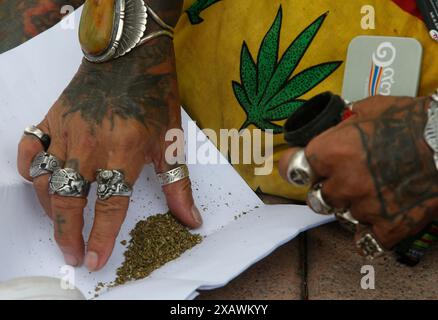 Bangkok, Thailand. Juni 2024. Ein Mann steckte Cannabisblumen an eine Kiste während des Protestes vor dem Gebäude der Vereinten Nationen in Bangkok. Eine Gruppe von Cannabisaktivisten und -Unterstützern versammelte sich, um gegen die Möglichkeit der Wiederkriminalisierung von Cannabis zu protestieren, nachdem Cannabis in Thailand 2022 entkriminalisiert wurde. Die thailändische Regierung plant, das Land bis Ende 2024 wieder unter Strafe zu stellen. (Foto: Chaiwat Subprasom/SOPA Images/SIPA USA) Credit: SIPA USA/Alamy Live News Stockfoto
