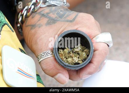Bangkok, Thailand. Juni 2024. Ein Mann, der während des Protestes vor dem Gebäude der Vereinten Nationen in Bangkok eine Kiste mit Cannabisblumen hält. Eine Gruppe von Cannabisaktivisten und -Unterstützern versammelte sich, um gegen die Möglichkeit der Wiederkriminalisierung von Cannabis zu protestieren, nachdem Cannabis in Thailand 2022 entkriminalisiert wurde. Die thailändische Regierung plant, das Land bis Ende 2024 wieder unter Strafe zu stellen. Quelle: SOPA Images Limited/Alamy Live News Stockfoto