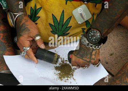 Bangkok, Thailand. Juni 2024. Ein Mann steckte Cannabisblumen an eine Kiste während des Protestes vor dem Gebäude der Vereinten Nationen in Bangkok. Eine Gruppe von Cannabisaktivisten und -Unterstützern versammelte sich, um gegen die Möglichkeit der Wiederkriminalisierung von Cannabis zu protestieren, nachdem Cannabis in Thailand 2022 entkriminalisiert wurde. Die thailändische Regierung plant, das Land bis Ende 2024 wieder unter Strafe zu stellen. Quelle: SOPA Images Limited/Alamy Live News Stockfoto