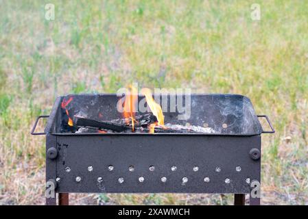 Brennendes Holz in den Flammen eines Feuers in einem Metallgrill auf einem verschwommenen Hintergrund eines grünen Rasens. Stockfoto