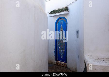 Detail einer weißen Gasse mit Einer typisch marokkanischen blauen Tür, bemalt mit sehr bunten Blumen- und Pflanzendekorationen in Rabat, der Hauptstadt Marokkos in Nort Stockfoto