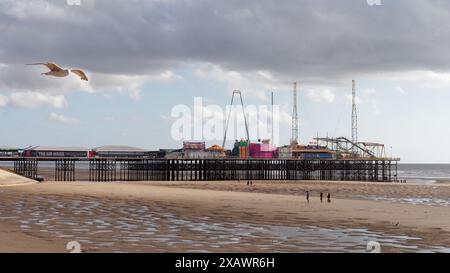 Die Möwe schwingt über Touristen an einem Sandstrand am Amusement Park Pier in der Stadt Blackpool, Lancashire, England. Juni 2024 Stockfoto