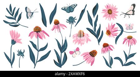 Coneflower Set isoliert auf weißem Hintergrund. Lila Echinacea Wildblumen Kollektion. Vektor handgezeichnet flache Illustration. Stock Vektor