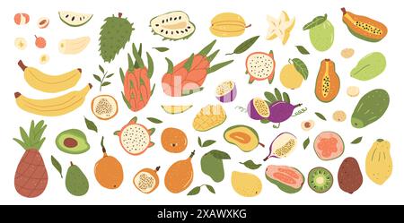 Tropische Früchte auf weißem Hintergrund. Gruppe exotischer süßer Desserts. Scheiben, halbe und ganze Früchte. Vektor Hand gezeichnete flache Sammlung illus Stock Vektor