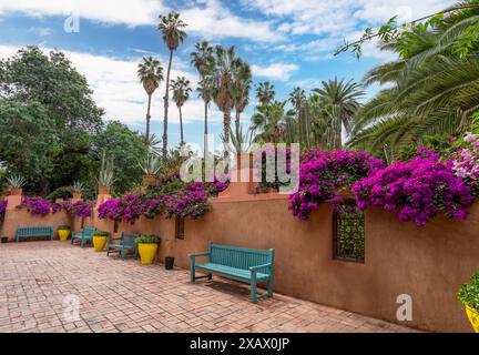 Die Wände sind mit lila-roten Bougainvillea-Blüten bedeckt. Der Majorelle Garten ist bekannt als der geheimnisvollste Garten. Marrakesch, Marokko. Stockfoto