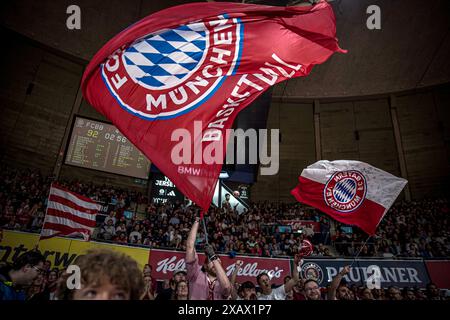 FC Bayern Fans mit Fahne FC Bayern München vs Würzburg Baskets Easy Credit BBL Saison 2023/24 Playoffs 2. Halbfinale 31.05.2024 BMW Park München © diebilderwelt / Alamy Stock Stockfoto