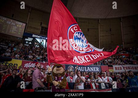 FC Bayern Fans mit Fahne FC Bayern München vs Würzburg Baskets Easy Credit BBL Saison 2023/24 Playoffs 2. Halbfinale 31.05.2024 BMW Park München © diebilderwelt / Alamy Stock Stockfoto