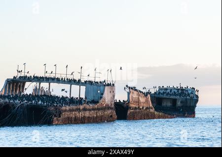 Nahaufnahme der SS Palo Alto, ein altes Schiffswrack aus dem Zweiten Weltkrieg bei Sonnenuntergang, vor der Küste von Aptos, in der Nähe von seacliff Beach, Californa Stockfoto