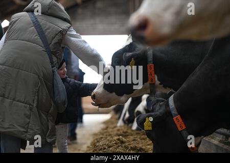 Der Tag des offenen Hofes in Niedersachsen. Zahlreiche Besucher auf dem landwirtschaftlichen Betrieb der Familie Cordes am 09. Juni 2024 in Westoverledingen. Westoverledingen Niedersachsen Deutschland *** der Tag der offenen Farm in Niedersachsen zahlreiche Besucher des Familienbetriebs Cordes am 09. Juni 2024 in Westoverledingen Westoverledingen Niedersachsen Deutschland Copyright: Xdiebildwerftx Stockfoto