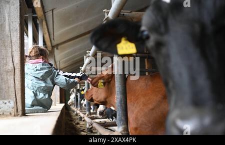 Der Tag des offenen Hofes in Niedersachsen. Zahlreiche Besucher auf dem landwirtschaftlichen Betrieb der Familie Cordes am 09. Juni 2024 in Westoverledingen. Westoverledingen Niedersachsen Deutschland *** der Tag der offenen Farm in Niedersachsen zahlreiche Besucher des Familienbetriebs Cordes am 09. Juni 2024 in Westoverledingen Westoverledingen Niedersachsen Deutschland Copyright: Xdiebildwerftx Stockfoto