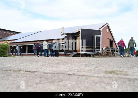 Der Tag des offenen Hofes in Niedersachsen. Zahlreiche Besucher auf dem landwirtschaftlichen Betrieb der Familie Cordes am 09. Juni 2024 in Westoverledingen. Westoverledingen Niedersachsen Deutschland *** der Tag der offenen Farm in Niedersachsen zahlreiche Besucher des Familienbetriebs Cordes am 09. Juni 2024 in Westoverledingen Westoverledingen Niedersachsen Deutschland Copyright: Xdiebildwerftx Stockfoto