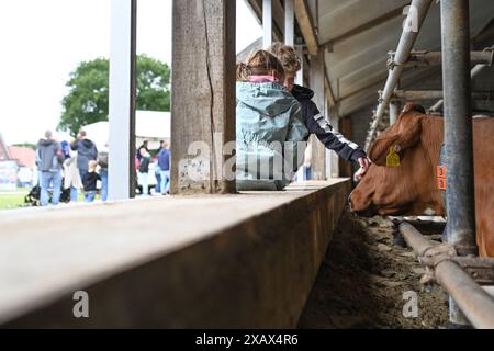 Der Tag des offenen Hofes in Niedersachsen. Zahlreiche Besucher auf dem landwirtschaftlichen Betrieb der Familie Cordes am 09. Juni 2024 in Westoverledingen. Westoverledingen Niedersachsen Deutschland *** der Tag der offenen Farm in Niedersachsen zahlreiche Besucher des Familienbetriebs Cordes am 09. Juni 2024 in Westoverledingen Westoverledingen Niedersachsen Deutschland Copyright: Xdiebildwerftx Stockfoto