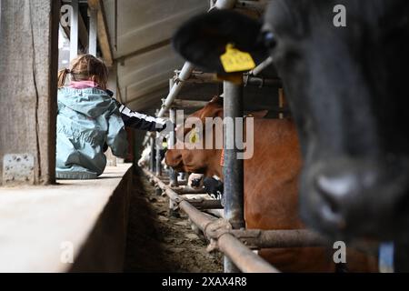 Der Tag des offenen Hofes in Niedersachsen. Zahlreiche Besucher auf dem landwirtschaftlichen Betrieb der Familie Cordes am 09. Juni 2024 in Westoverledingen. Westoverledingen Niedersachsen Deutschland *** der Tag der offenen Farm in Niedersachsen zahlreiche Besucher des Familienbetriebs Cordes am 09. Juni 2024 in Westoverledingen Westoverledingen Niedersachsen Deutschland Copyright: Xdiebildwerftx Stockfoto