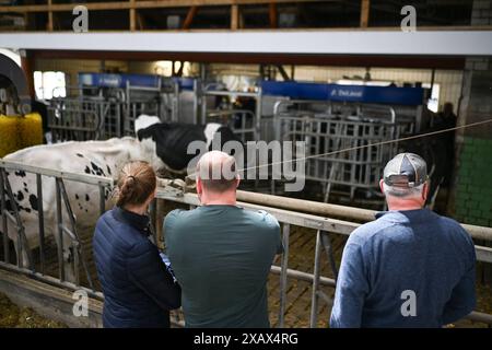 Der Tag des offenen Hofes in Niedersachsen. Zahlreiche Besucher auf dem landwirtschaftlichen Betrieb der Familie Cordes am 09. Juni 2024 in Westoverledingen. Westoverledingen Niedersachsen Deutschland *** der Tag der offenen Farm in Niedersachsen zahlreiche Besucher des Familienbetriebs Cordes am 09. Juni 2024 in Westoverledingen Westoverledingen Niedersachsen Deutschland Copyright: Xdiebildwerftx Stockfoto