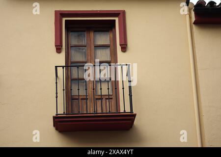 Fenster mit Stahlgitter an einer weiß getünchten Wand. Andalusisches weißes Dorf. Costa del Sol. Spanien Stockfoto