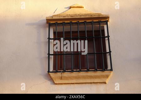 Fenster mit Stahlgitter an einer weiß getünchten Wand. Andalusisches weißes Dorf. Costa del Sol. Spanien Stockfoto