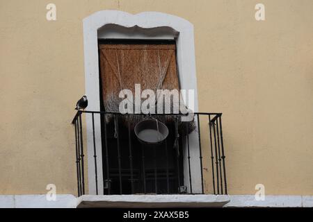 Fenster mit Stahlgitter an einer weiß getünchten Wand. Andalusisches weißes Dorf. Costa del Sol. Spanien Stockfoto