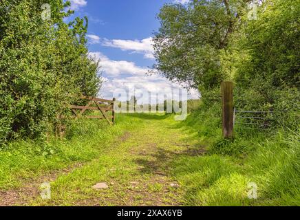 Ein breiter Weg führt an einem Holztor vorbei in ein Feld. Bäume und Sträucher befinden sich auf einer Seite und Bäume befinden sich ebenfalls in der Ferne. Ein Himmel mit Wolken ist oben. Stockfoto