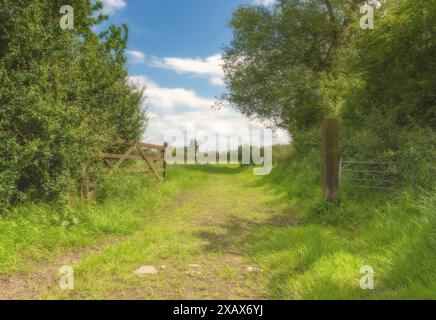 Ein breiter Weg führt an einem Holztor vorbei in ein Feld. Bäume und Sträucher befinden sich auf einer Seite und Bäume befinden sich ebenfalls in der Ferne. Ein Himmel mit Wolken ist oben. Stockfoto