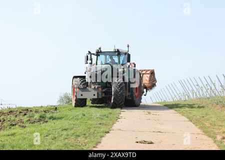 Traktor mit Deichsel arbeitet auf dem Feld Stockfoto