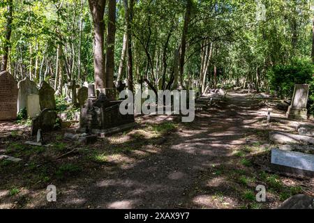 London, England – August 2023. Der Highgate Cemetery ist die letzte Ruhestätte einiger der berühmtesten Bewohner Londons, malerisch und gotisch Stockfoto