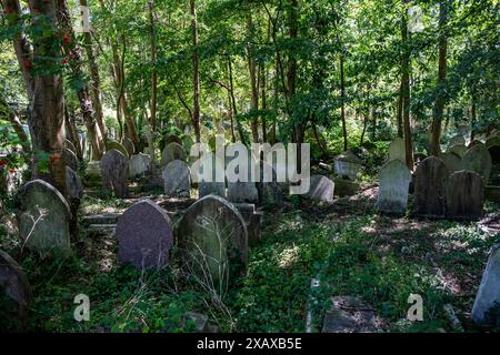 London, England – August 2023. Der Highgate Cemetery ist die letzte Ruhestätte einiger der berühmtesten Bewohner Londons, malerisch und gotisch Stockfoto