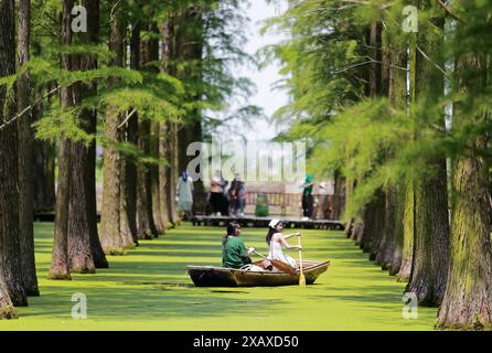 (240609) -- PEKING, 9. Juni 2024 (Xinhua) -- dieses Foto vom 9. Juni 2024 zeigt Touristen, die Boote im Luyang Lake Feuchtgebiet Park in Yangzhou, ostchinesischer Provinz Jiangsu, rudern. Die Menschen genießen den 3-tägigen Feiertag des Dragon Boat Festival, auch Duanwu Festival genannt, das am 10. Juni dieses Jahres stattfindet, über verschiedene Aktivitäten im ganzen Land. (Foto: Meng Delong/Xinhua) Stockfoto