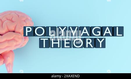 3D-Darstellung von Würfeln mit den Worten "POLYVAGAL-THEORIE" und menschlichem Gehirn. Die polyvagale Theorie ist ein Modell, das erklärt, wie das vegetative Nervensystem regula Stockfoto