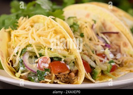 Taco mit Hackfleisch und Avocado, Kohl und Käse. Mexikanische Küche. Nahaufnahme. Stockfoto