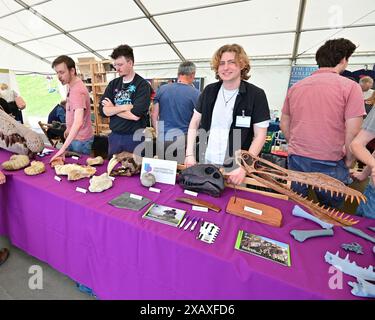 Lyme Regis, Großbritannien. Juni 2024. Paläoart-Workshops im Aussteller-Festzelt am Lister Gardens an der Küste, Lyme Regis East Devon. Bildnachweis: Robert Timoney/Alamy Live NewsPalaeoart-Workshops im Aussteller-Marquee am Lister Gardens-Standort an der Küste, Lyme Regis Est Devon. Bildnachweis: Robert Timoney/Alamy Live News Stockfoto