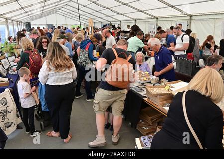 Paläoart Workshops Fossil Festival Stockfoto