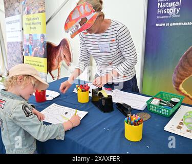 Paläoart Workshops Fossil Festival Stockfoto