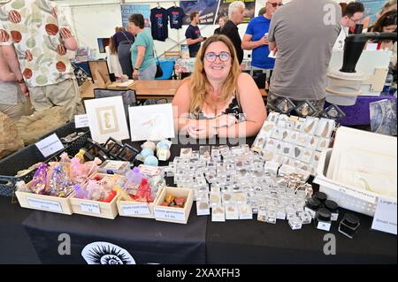 Palaeart Workshops Fossil Festival Stockfoto