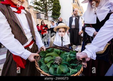 Segen der Tiere am Tag des Heiligen Antonius, „Beneides de Sant Antoni“, Muro, Mallorca, Balearen, Spanien Stockfoto