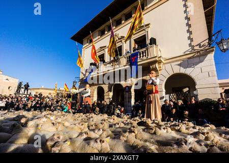 Segen der Tiere am Tag des Heiligen Antonius, „Beneides de Sant Antoni“, Muro, Mallorca, Balearen, Spanien Stockfoto