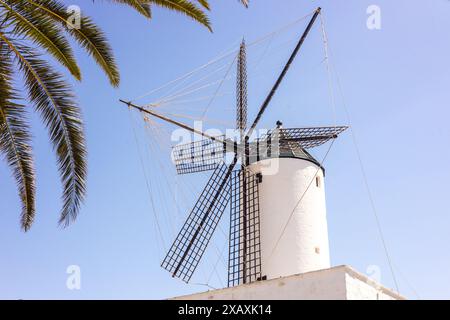 Wunderschöne weiße Windmühle mit einem schwarzen Dach vor dem Hintergrund des Himmels und Palmblättern. Ciutadella auf der Insel Menorca in Spanien, historisch A Stockfoto