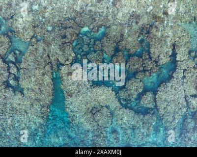 Aus der Vogelperspektive bedeckt das Wasser ein flaches, exponiertes Riff auf einer abgelegenen Insel in Indonesien. Dieses tropische Gebiet ist Teil des Korallendreiecks. Stockfoto