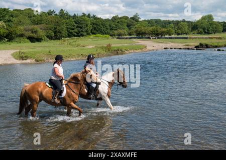 Abkühlung im Fluss Ewenny bei Ogmore Castle in der Nähe von Bridgend South Wales nach einer langen Fahrt an einem heißen Sommermorgen heute ( Dienstag, 23.6/15). Jo Davies auf Roo und Maggie Pope auf Sally machen einen kühlenden Spaziergang im Fluss, während sie nach einer Fahrt am Morgen im Tal von Glamorgan zu den Ogmore Farm Riding Stables zurückkehren. Stockfoto