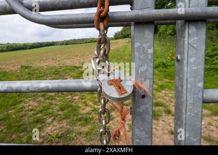 Vorhängeschloss und Kette sichern ein Tor zu einem Feld auf einem Bauernhof Stockfoto