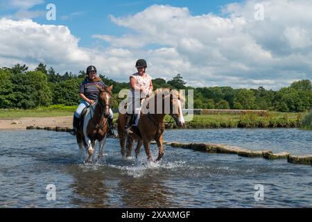 Abkühlung im Fluss Ewenny bei Ogmore Castle in der Nähe von Bridgend South Wales nach einer langen Fahrt an einem heißen Sommermorgen heute ( Dienstag, 23.6/15). Maggie Pope auf Sally und Jo Davies auf Roo machen einen kühlenden Spaziergang im Fluss, während sie nach einer Fahrt am Morgen im Tal von Glamorgan zu den Ogmore Farm Riding Stables zurückkehren. Stockfoto