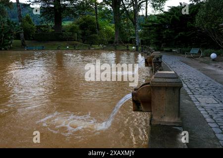 Thermalbad des Parks Terra Nostra in Furnas. Natürliche heiße Quellen im Dorf Furnas. Sao Miguel Insel auf den Azoren Stockfoto