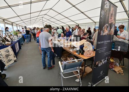 Devon, Großbritannien. Juni 2024. Touristen und Besucher sehen Fossilien in den Paläoart-Werkstätten in Lister Gardens in Lyme Regis East Devon. Bildnachweis: Robert Timoney/Alamy Live News Stockfoto