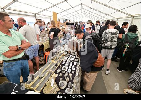 Devon, Großbritannien. Juni 2024. Touristen und Besucher sehen Fossilien in den Paläoart-Werkstätten in Lister Gardens in Lyme Regis East Devon. Bildnachweis: Robert Timoney/Alamy Live News Stockfoto