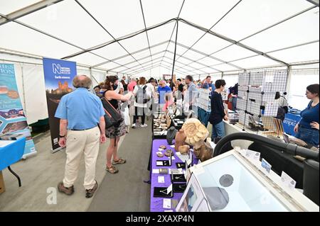 Devon, Großbritannien. Juni 2024. Touristen und Besucher sehen Fossilien in den Paläoart-Werkstätten in Lister Gardens in Lyme Regis East Devon. Bildnachweis: Robert Timoney/Alamy Live News Stockfoto