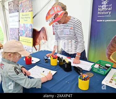 Devon, Großbritannien. Juni 2024. Touristen und Besucher sehen Fossilien in den Paläoart-Werkstätten in Lister Gardens in Lyme Regis East Devon. Bildnachweis: Robert Timoney/Alamy Live News Stockfoto