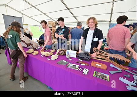 Devon, Großbritannien. Juni 2024. Touristen und Besucher sehen Fossilien in den Paläoart-Werkstätten in Lister Gardens in Lyme Regis East Devon. Bildnachweis: Robert Timoney/Alamy Live News Stockfoto